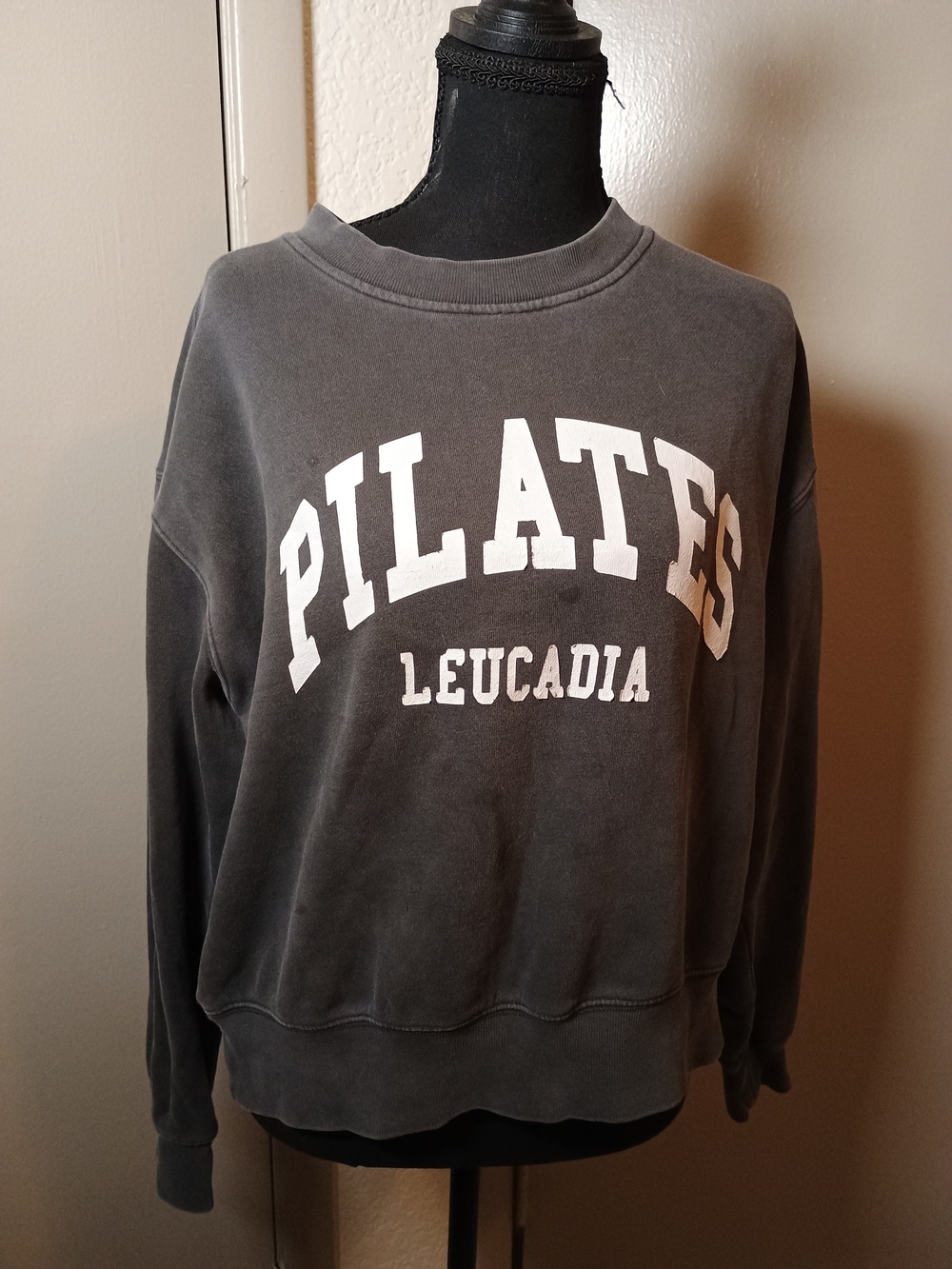 Ethos Pilates Leucadia Women'Small Crewneck Graphic Sweatshirt Gray Small.